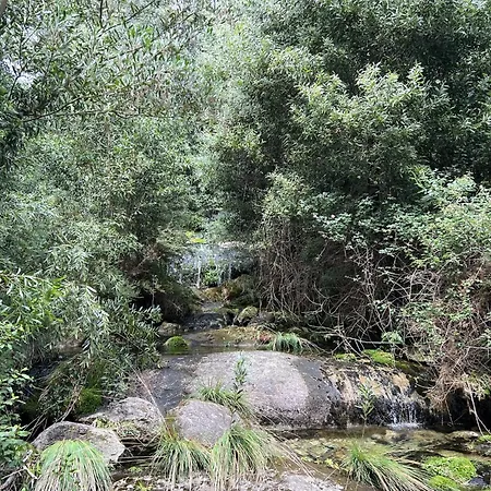 Casa Da Arda, Piscina Exclusiva, Entre Mar E A Montanha 别墅