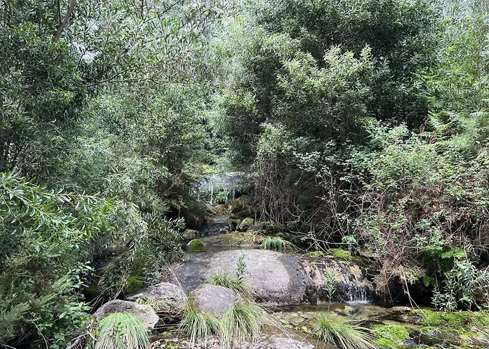 Casa Da Arda, Piscina Exclusiva, Entre Mar E A Montanha Villa
